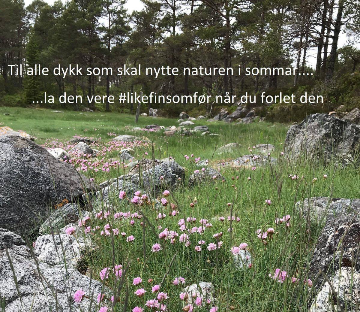 Nettsak likefinsomfør Sunnmøre.jpg